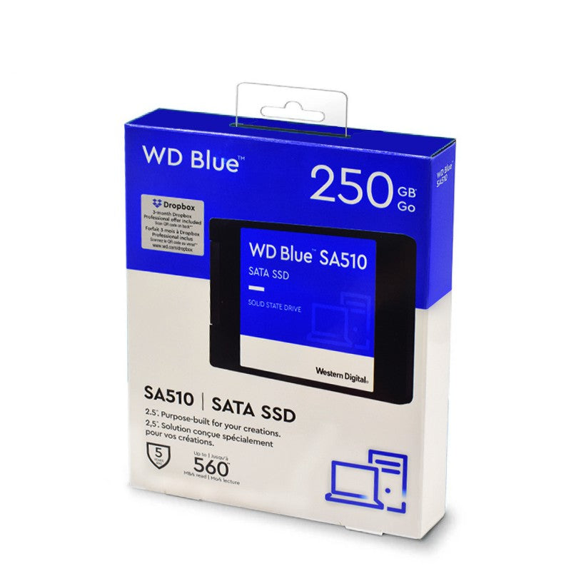 Disque SSD 250 Go WD Blue SA510